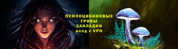 крисы Протвино