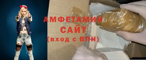 молекула духа Билибино