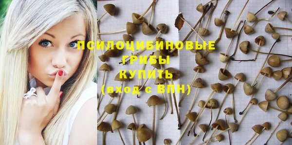 бошки Приозерск
