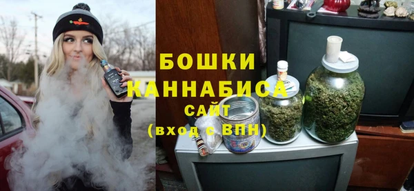 молекула духа Билибино