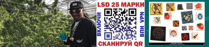 наркошоп  Удомля  Марки NBOMe 1,5мг 