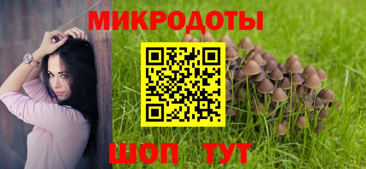 Удомля  Галлюциногенные грибы мицелий  Вход с VPN 