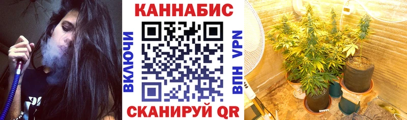 Каннабис сатива  blacksprut как войти  Удомля 